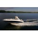 Пластиковый катер Sea Ray 310 Sundancer