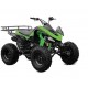 Квадроцикл Hamer HT-125 Sport 004 зеленый