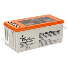 Аккумулятор гелевый Weekender с дисплеем 200Ah 12V (OT200-12(GEL)/DS)